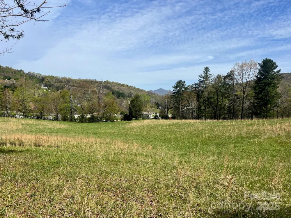 99999 Lollis Road Candler, NC 28715
