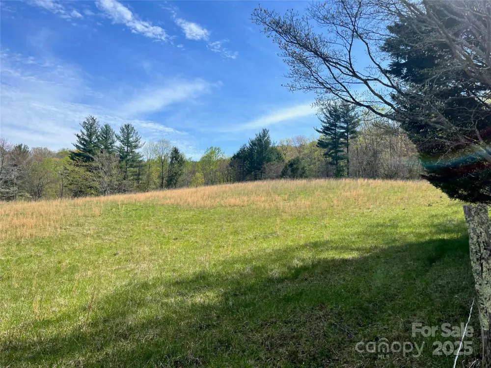 99999 Lollis Road Candler, NC 28715
