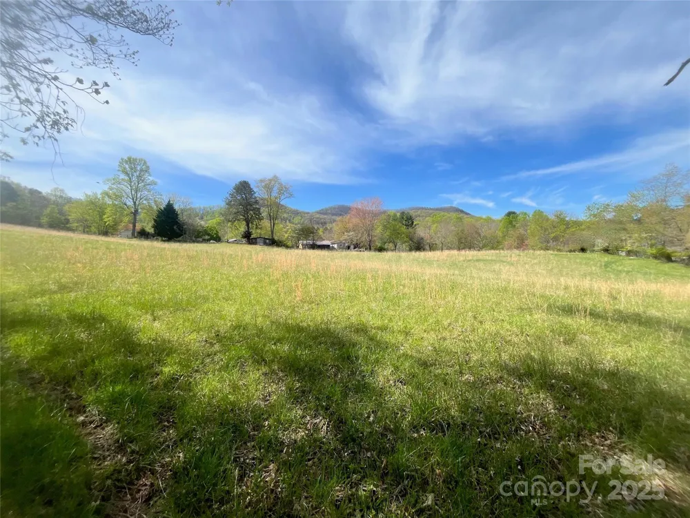 99999 Lollis Road Candler, NC 28715