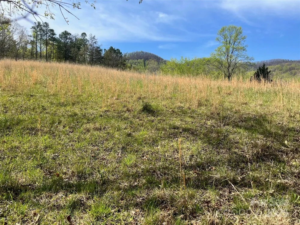 99999 Lollis Road Candler, NC 28715