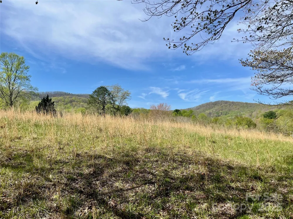 99999 Lollis Road Candler, NC 28715