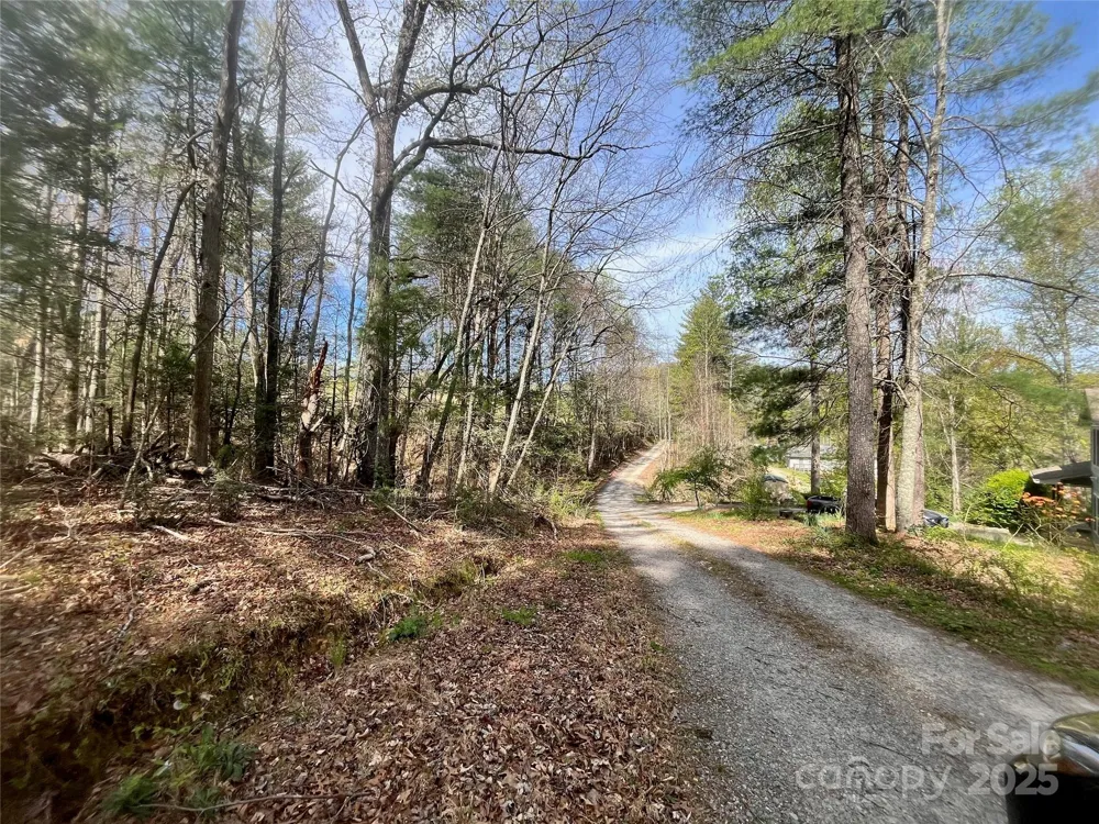 99999 Lollis Road Candler, NC 28715