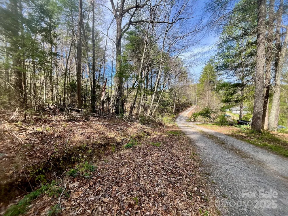 99999 Lollis Road Candler, NC 28715