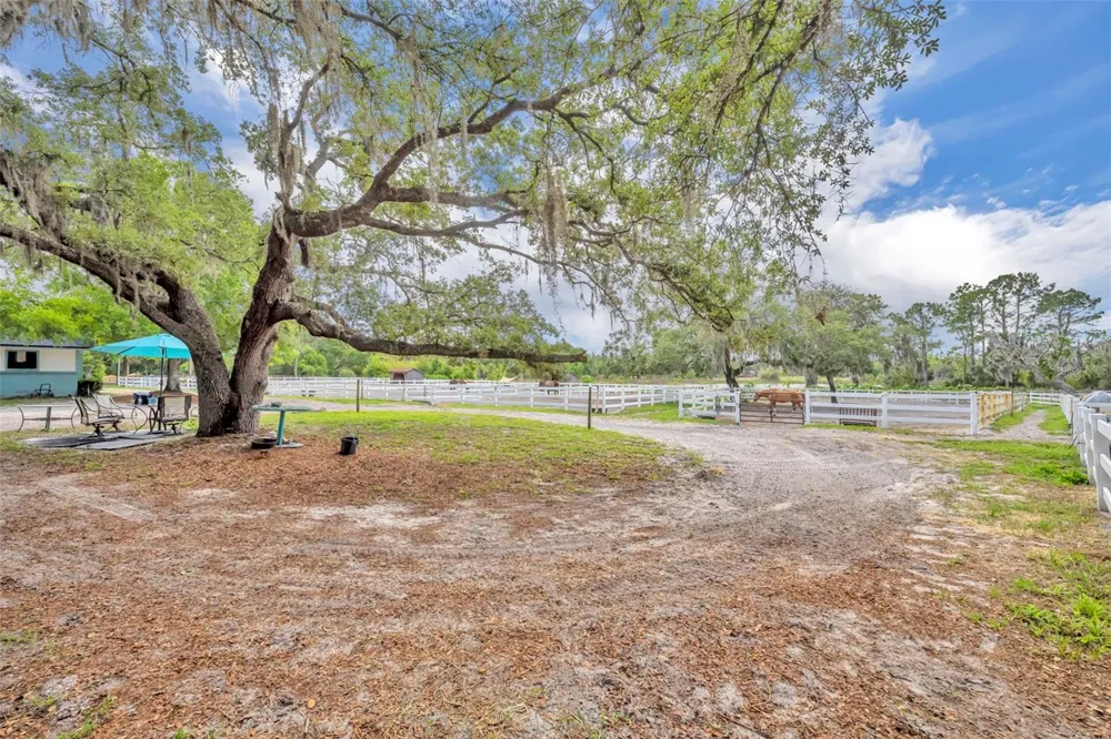 3287 COUNTY ROAD 426 Geneva, FL 32732