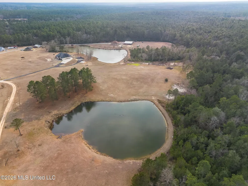 Lots 4,5,6 Kahler Lane McHenry, MS 39561