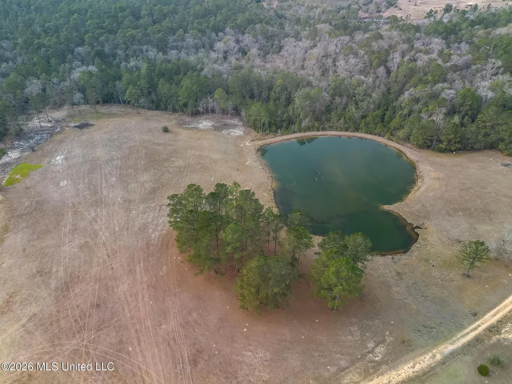 Lots 4,5,6 Kahler Lane McHenry, MS 39561