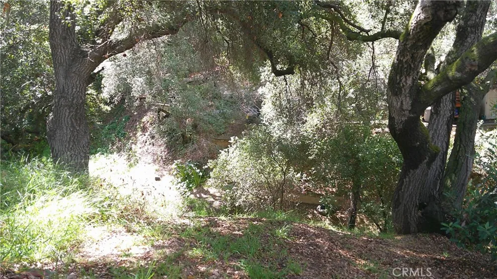 1003 Carbon Canyon Chino Hills, CA 91709