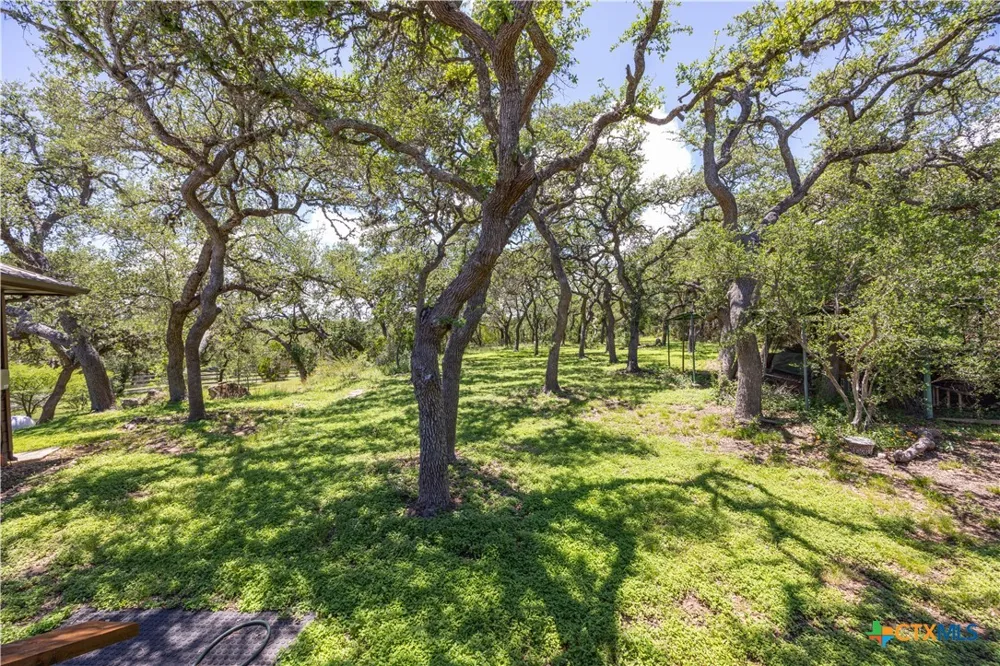 1645 Agarita Drive Fischer, TX 78623