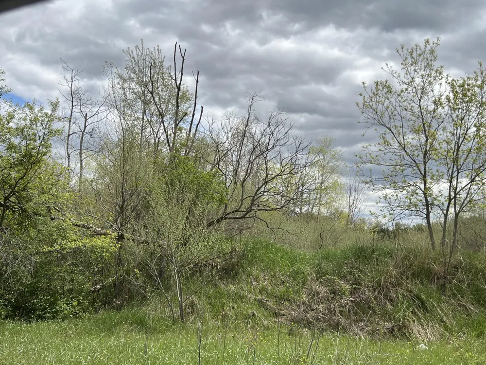 11148 Satterlee Road Lakeview, MI 48850
