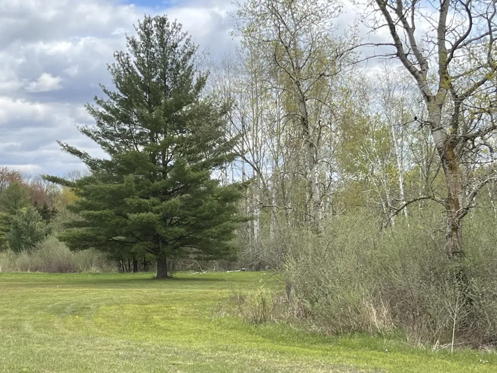 11148 Satterlee Road Lakeview, MI 48850