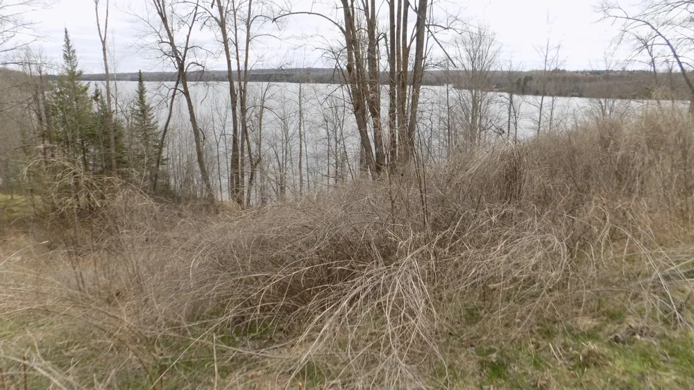 TBD Bluebill Bay Road Bovey, MN 55709