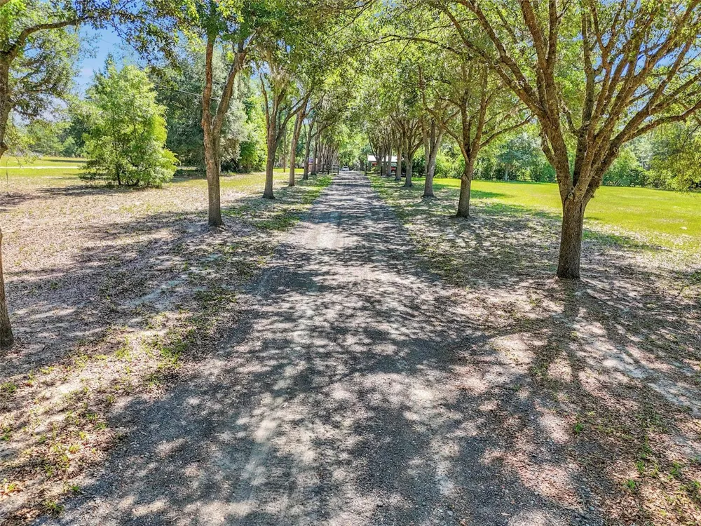 3325 S HWY 314A Ocklawaha, FL 32179