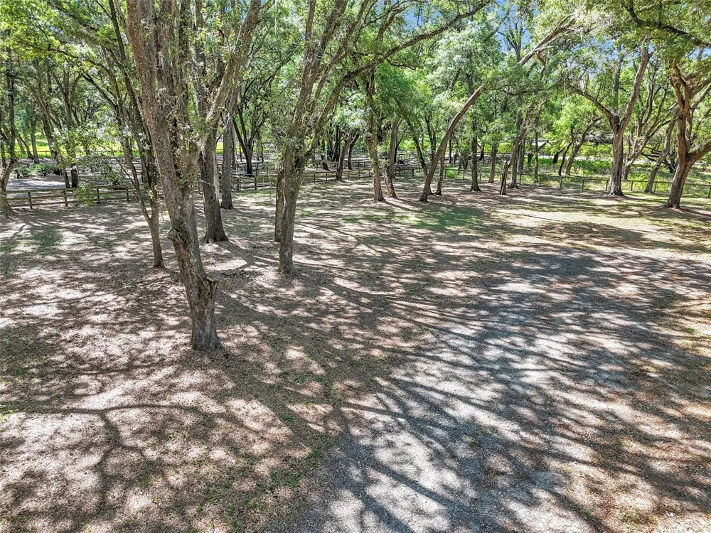 3325 S HWY 314A Ocklawaha, FL 32179