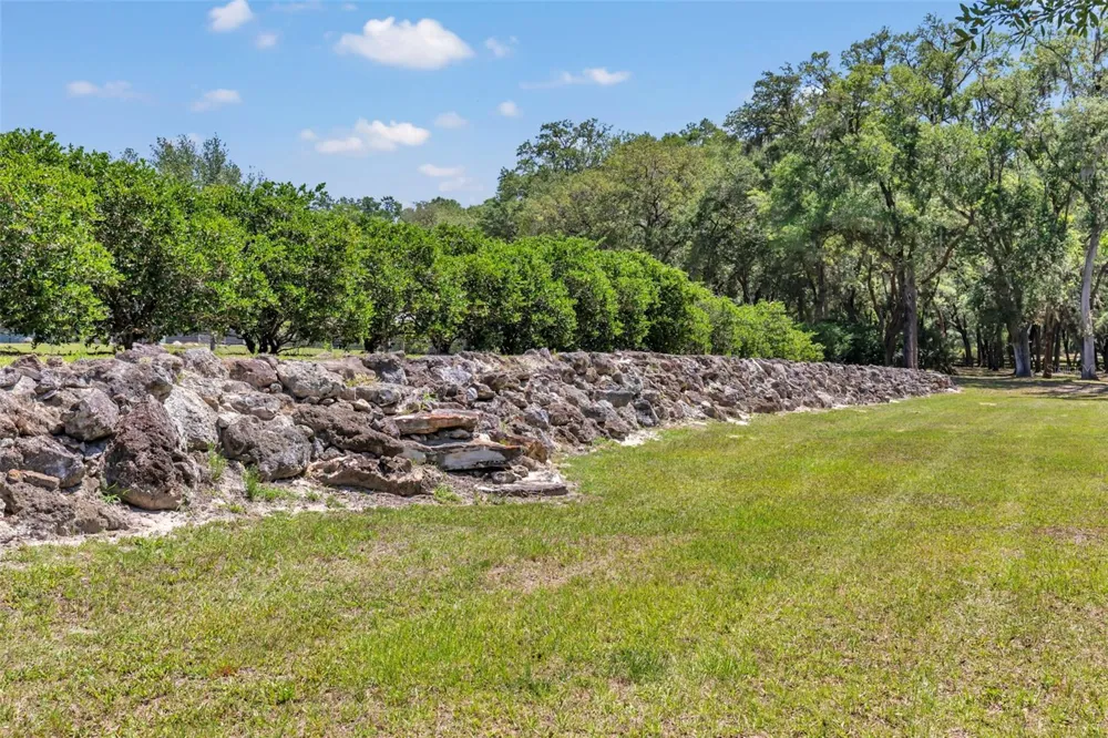 3325 S HWY 314A Ocklawaha, FL 32179