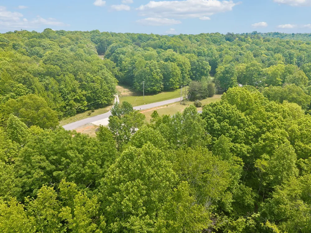 1500 Jackson Point Road Sewanee, TN 37375