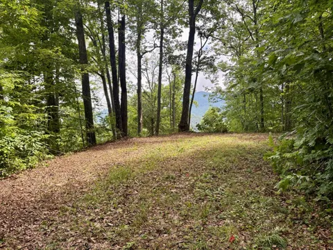 High Knob