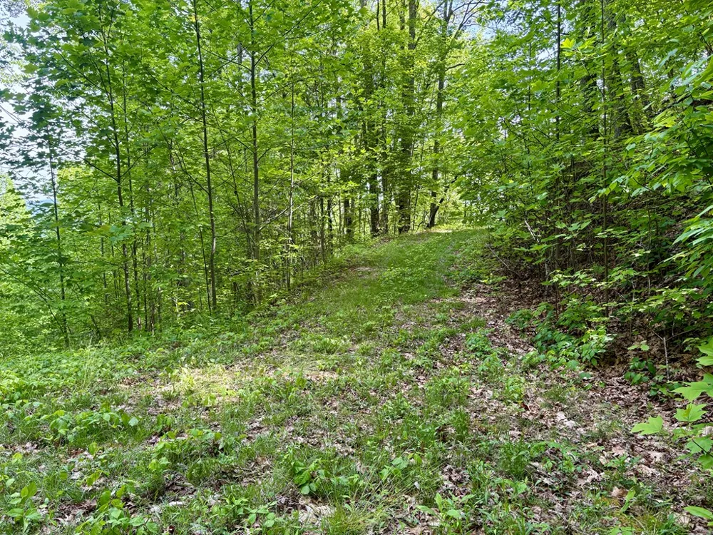 High Knob Bryson City, NC 28713