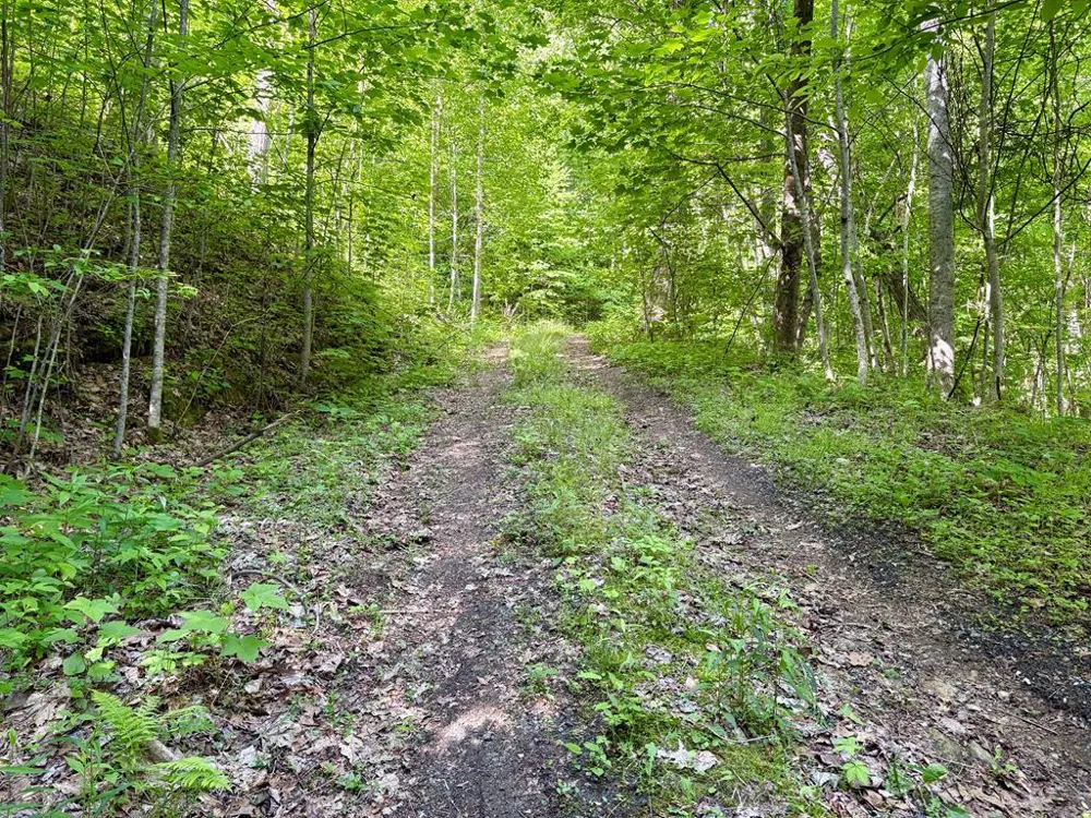 High Knob Bryson City, NC 28713