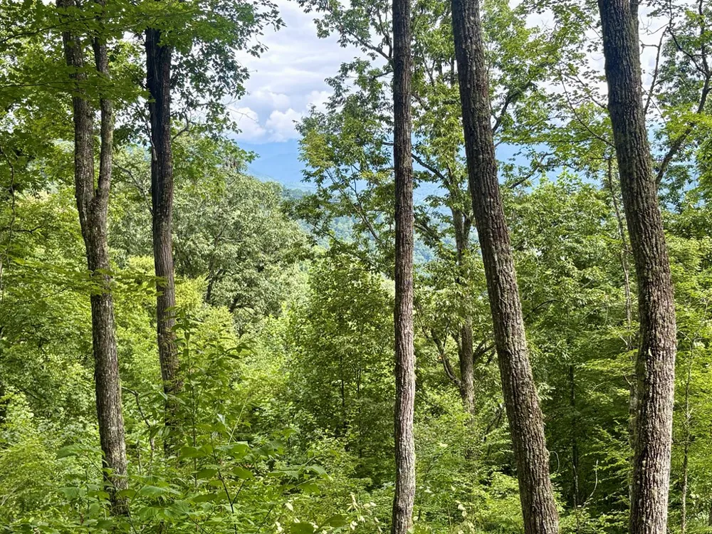 High Knob Bryson City, NC 28713