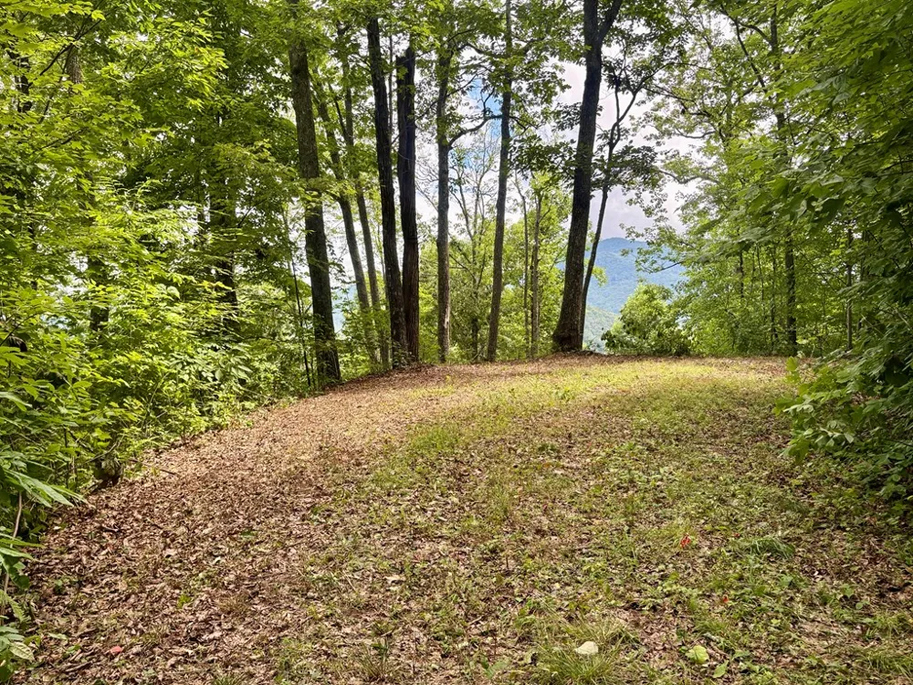 High Knob Bryson City, NC 28713