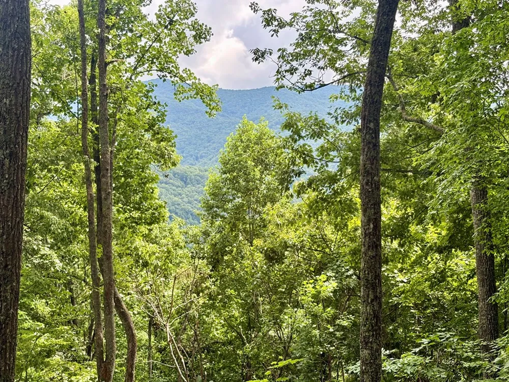 High Knob Bryson City, NC 28713