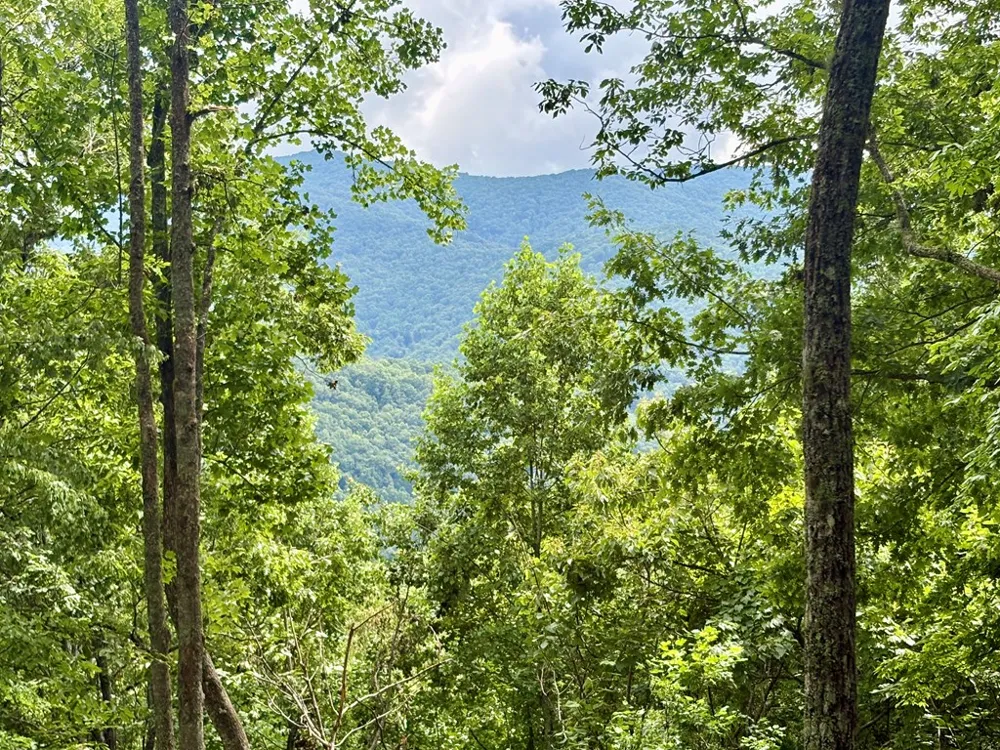 High Knob Bryson City, NC 28713