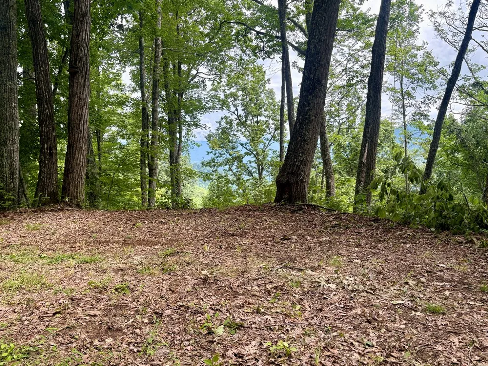 High Knob Bryson City, NC 28713