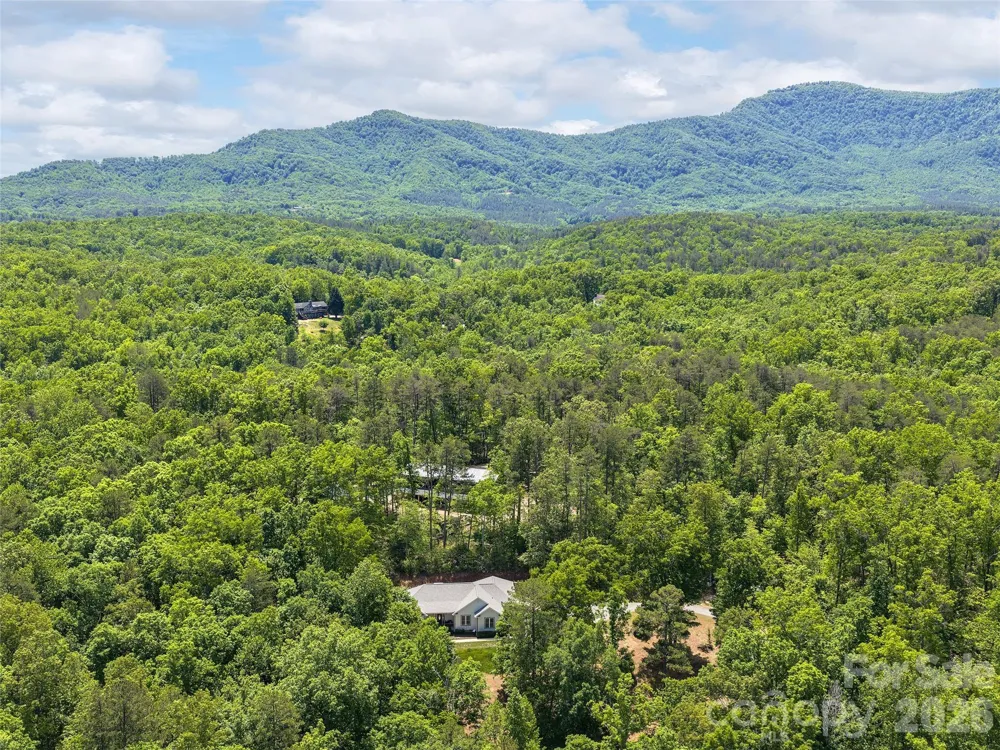 232 Wild Haven Way Mill Spring, NC 28756