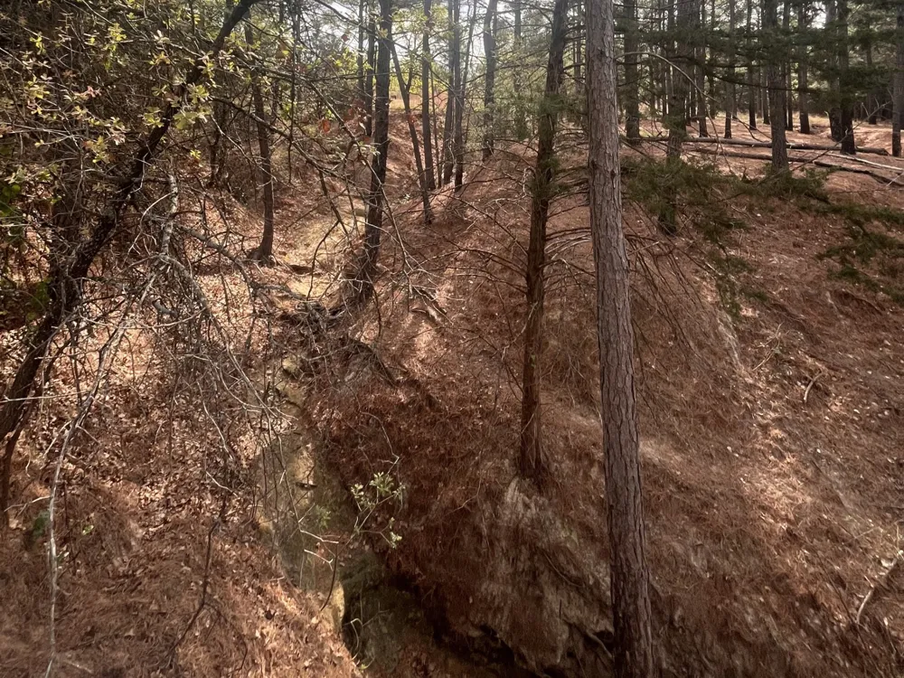2548 County Road 2690 Alvord, TX 76225