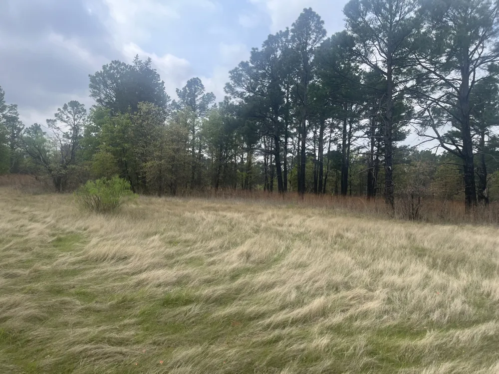 2548 County Road 2690 Alvord, TX 76225