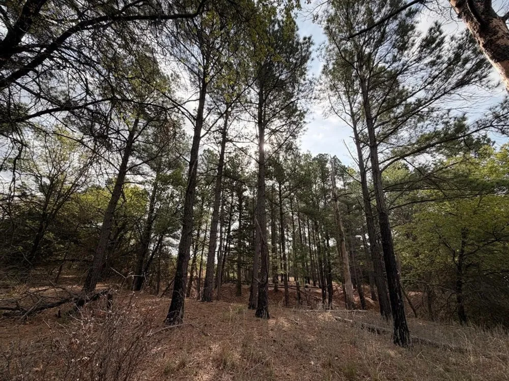 2548 County Road 2690 Alvord, TX 76225
