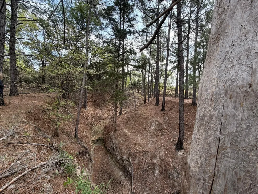 2548 County Road 2690 Alvord, TX 76225