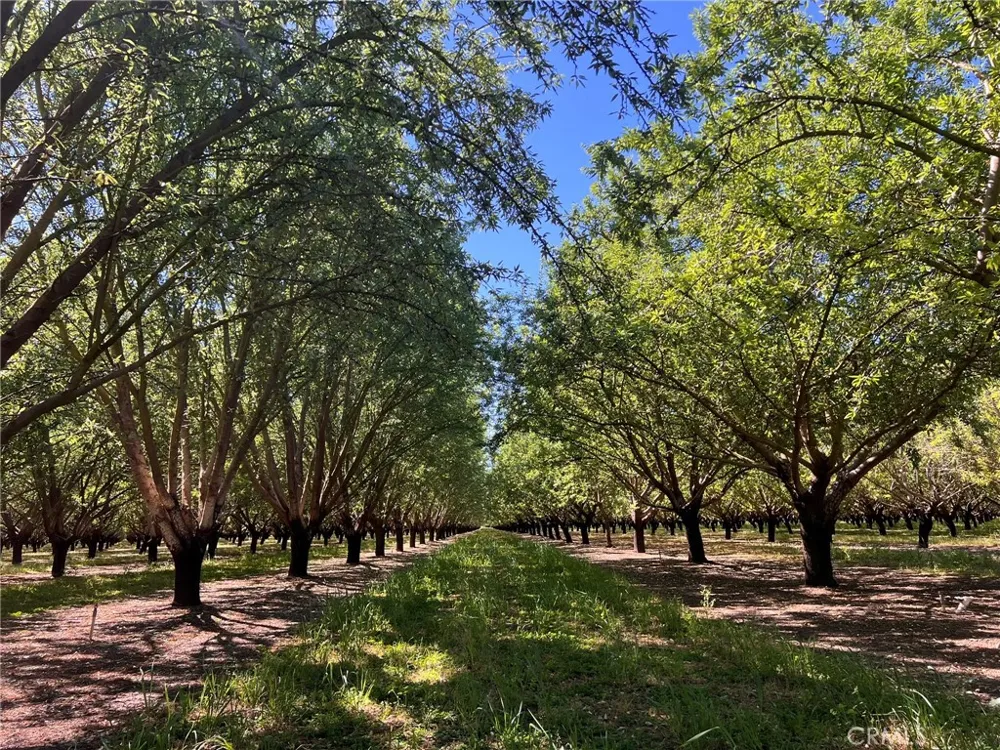 5000 Ord Ferry Chico, CA 95928