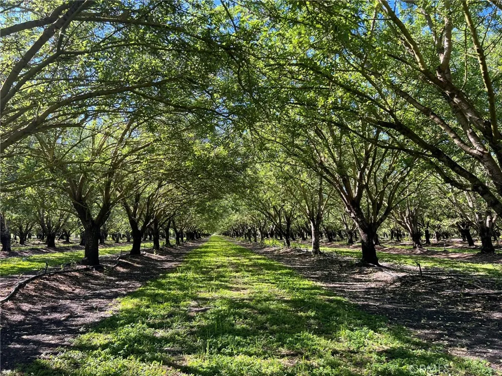 5000 Ord Ferry Chico, CA 95928