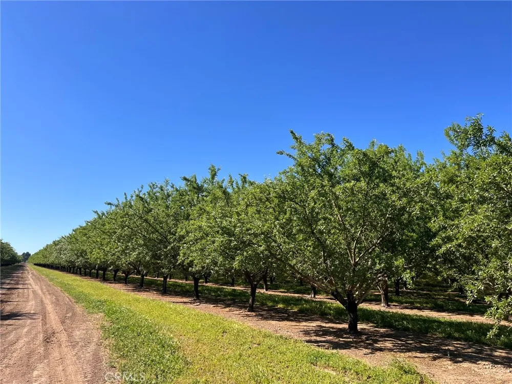 5000 Ord Ferry Chico, CA 95928