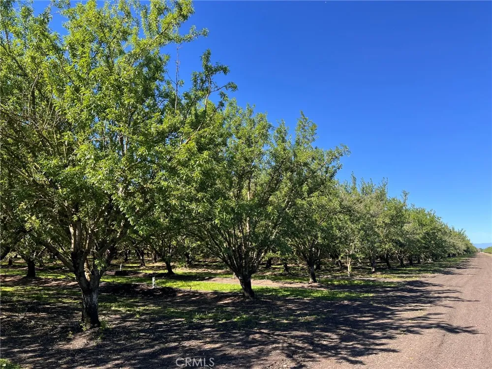 5000 Ord Ferry Chico, CA 95928