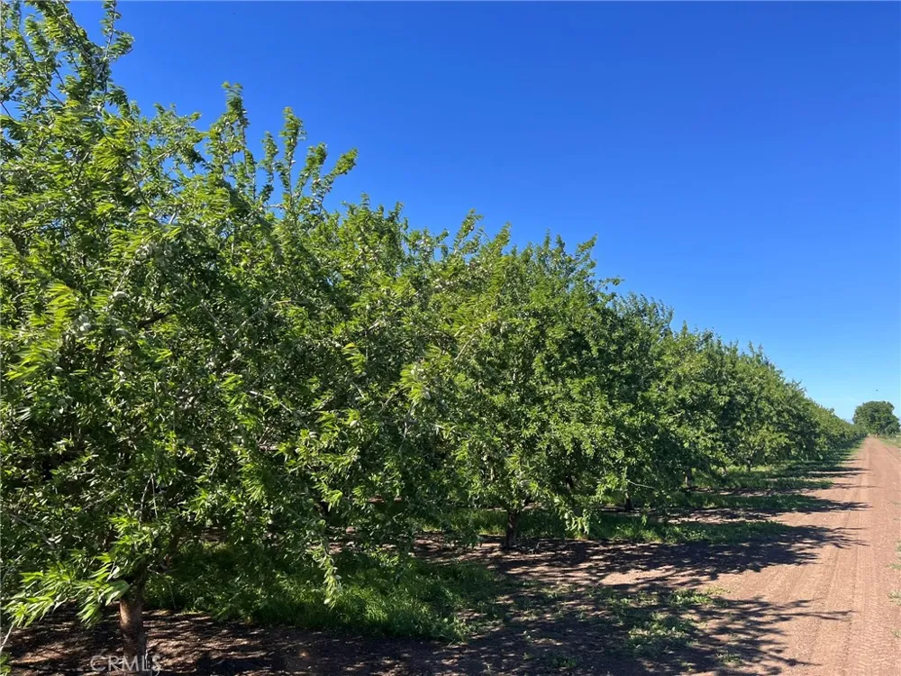 5000 Ord Ferry Chico, CA 95928