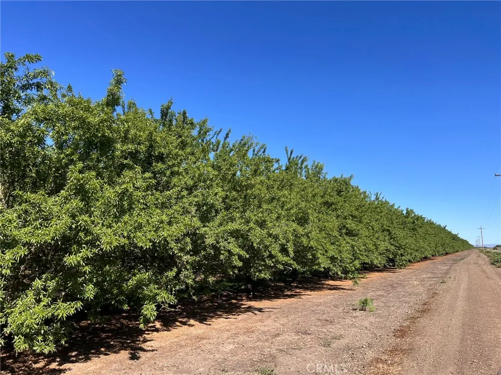 5000 Ord Ferry Chico, CA 95928