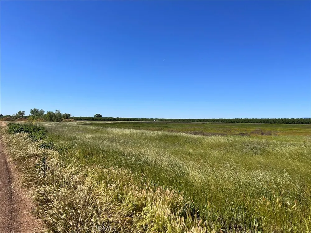 5000 Ord Ferry Chico, CA 95928