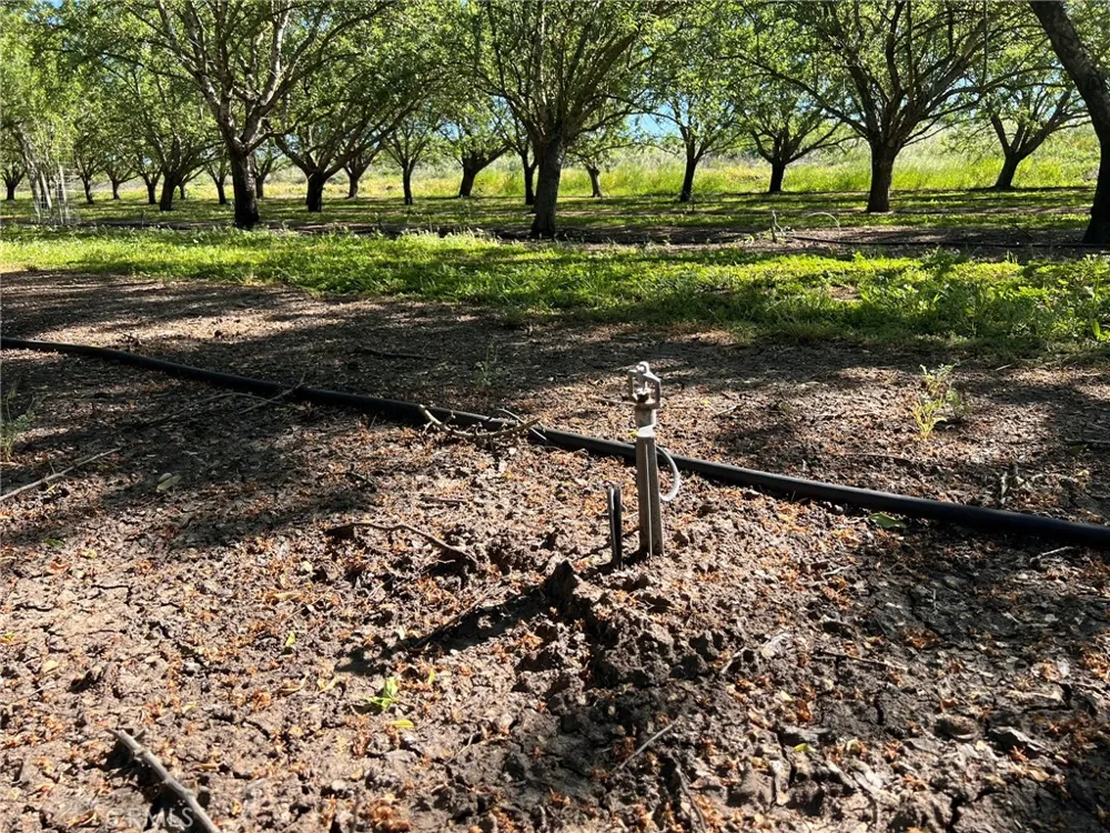 5000 Ord Ferry Chico, CA 95928