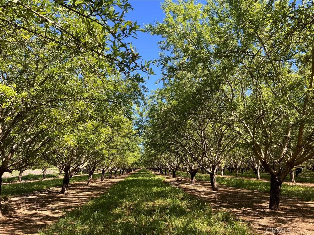5000 Ord Ferry Chico, CA 95928