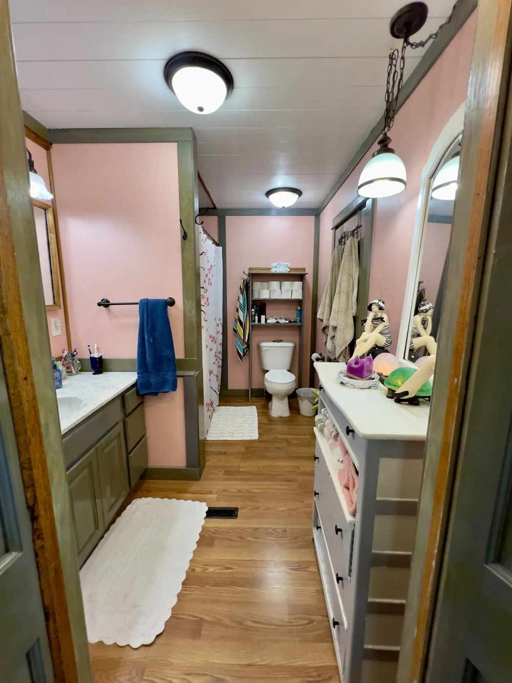 1033 Washington Boulevard Lake Odessa Village, MI 48849