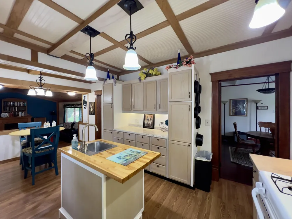 1033 Washington Boulevard Lake Odessa Village, MI 48849