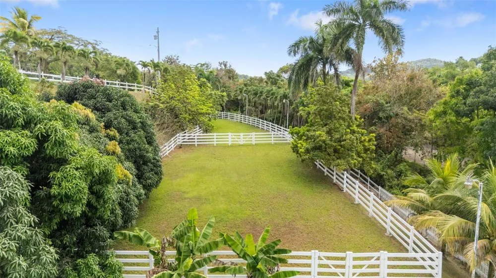 23 & 24 HACIENDA CARABALI Luquillo, PR 00773