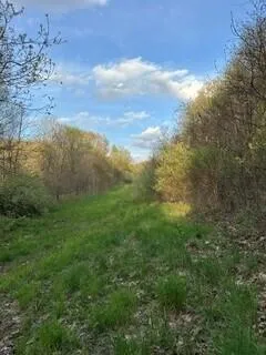 690 Pierce Road Plainwell, MI 49080