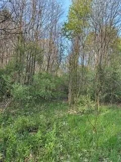 690 Pierce Road Plainwell, MI 49080