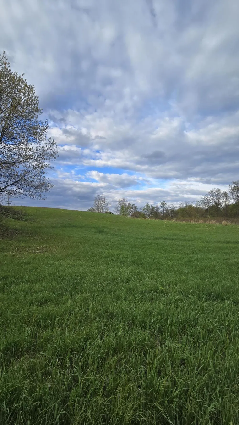 690 Pierce Road Plainwell, MI 49080