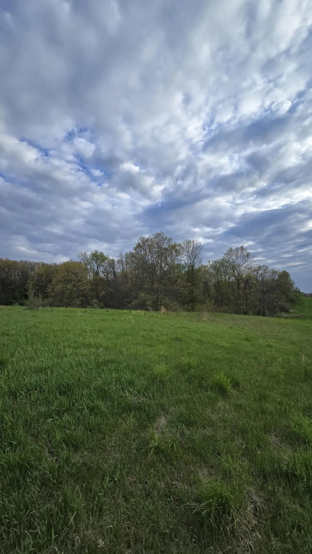 690 Pierce Road Plainwell, MI 49080