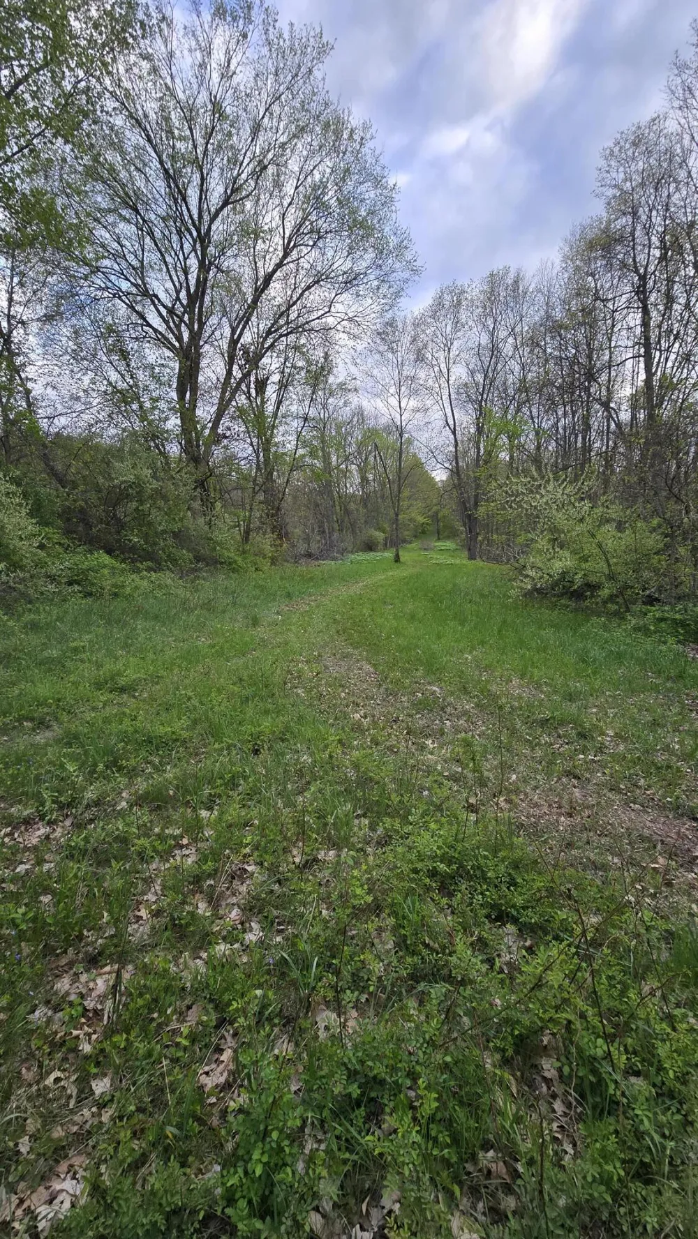 690 Pierce Road Plainwell, MI 49080