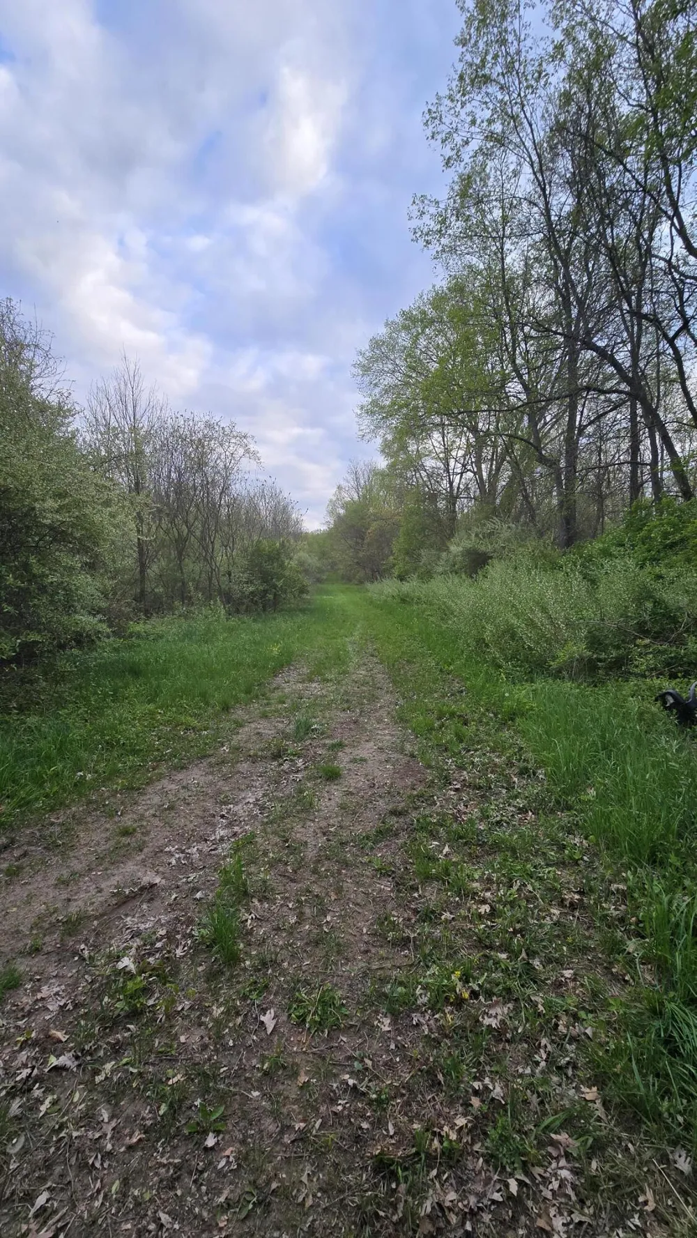 690 Pierce Road Plainwell, MI 49080